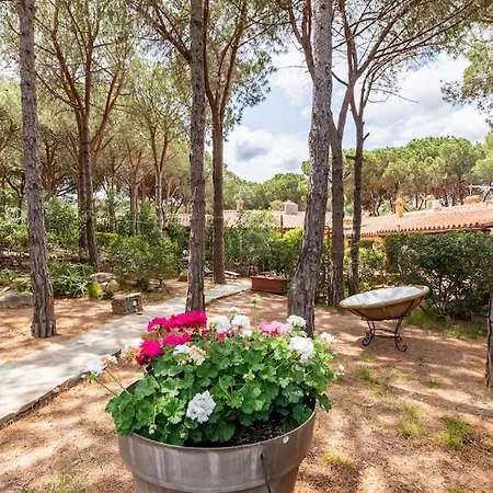 Residenze Coda Cavallo - Le Farfalle Capo Coda Cavallo